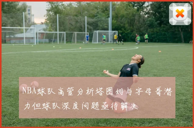 NBA球队高管分析塔图姆与字母哥潜力但球队深度问题亟待解决