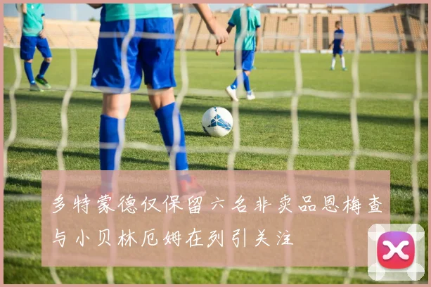 多特蒙德仅保留六名非卖品恩梅查与小贝林厄姆在列引关注